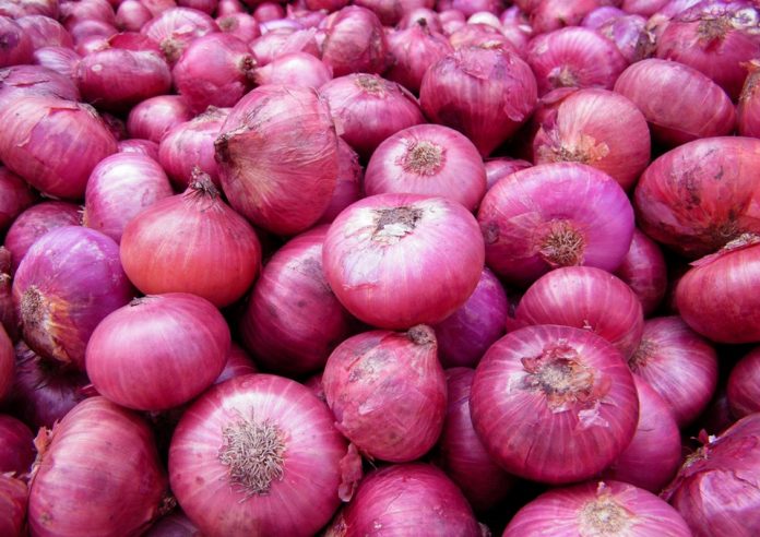 onion-big1