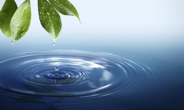 water-life-crop
