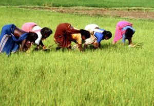 தமிழக வேளாண் பட்ஜெட் -2023 முக்கிய அம்சங்கள்