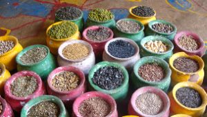 நாமக்கல் மாவட்டத்தில் காய்கறி விதைகள் 40% மானியத்தில் விற்பனை