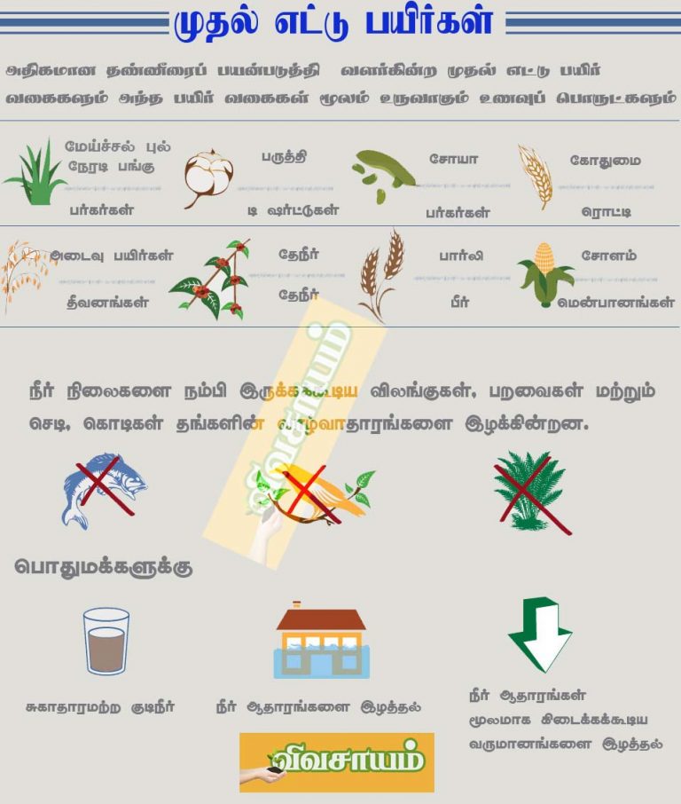 விவசாயத்திற்கு தண்ணீர்