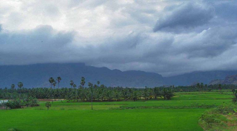 இயற்கை விவசாயம் செய்ய இலவச பயிற்சி வகுப்பு !