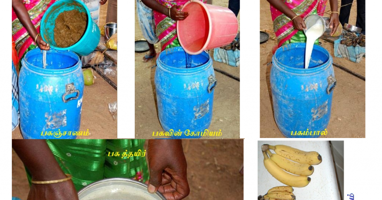 பஞ்சகவ்யாவில் சேர்க்கப்படும் மூலப்பொருட்களின் வேதிப்பண்புகள்