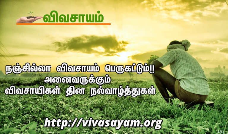 விவசாயிகள் தினம் !