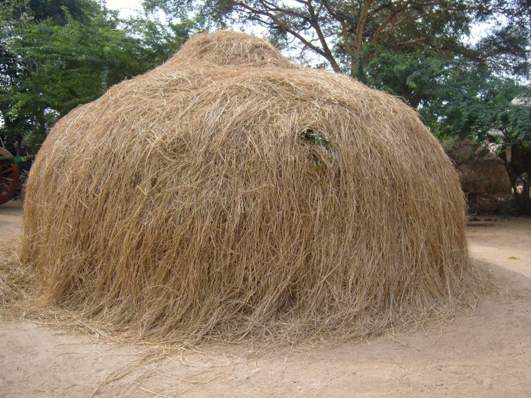 மதிப்புக் கூட்டப்பட்ட வைக்கோல்