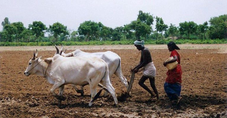 கோடை உழவு..!