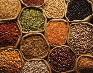 மானாவாரி விவசாய இயக்கம்