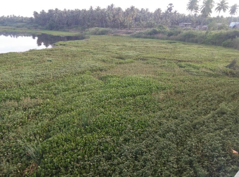 ஆகாயத்தாமரை அகற்றும் கருவி!