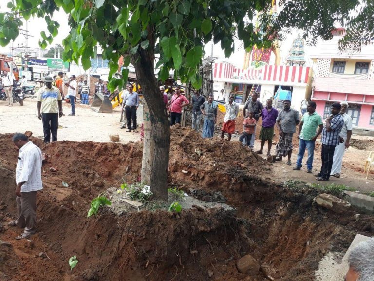 பசுமைப் பணியில் திண்டி மா வனம்!