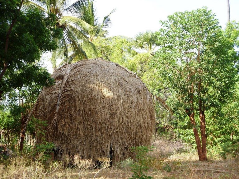 பற்றி எரிகிறது மாட்டின் தீவனம்!