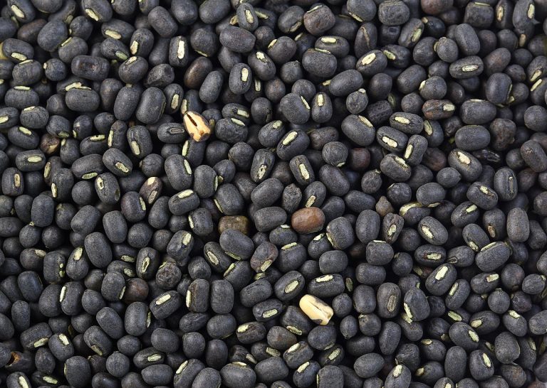 கறுப்பு உளுந்து (Black Gram) விற்பனைக்கு!
