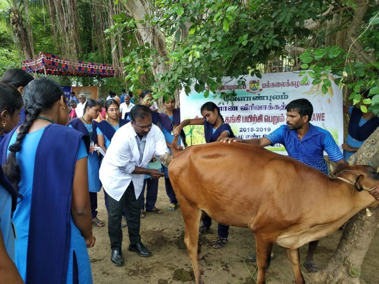 சிறப்பு கால்நடை மருத்துவ முகாம்
