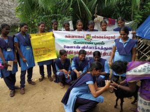 ஆடு மற்றும் மாடுகளுக்கு குடற்புழு நீக்கம் குறித்து வேளாண் மாணவிகள் சார்பில்  பயிற்சி!