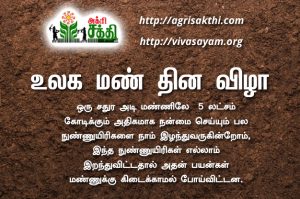 உலக மண் தின விழா