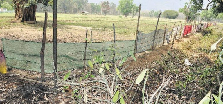 கேரளாவில் வன விலங்குகளை தடுப்பதில் புதிய வேளாண் யுக்திகள்