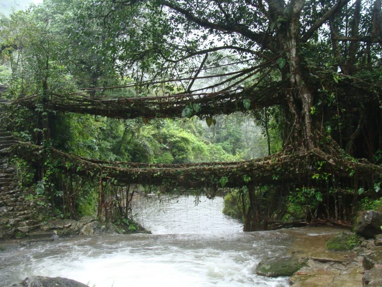 தான் அமிழ்தம் என்றுணரற் பாற்று… (பகுதி-10)