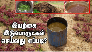 இயற்கை முறை பூச்சி மற்றும்  நோய்க் கொல்லி : அக்னி அஸ்திரம், நீம் அஸ்திரா, சுக்கு அஸ்திரா, பிரம்மாஸ்திரம் மற்றும் பீஜாமிர்தம்