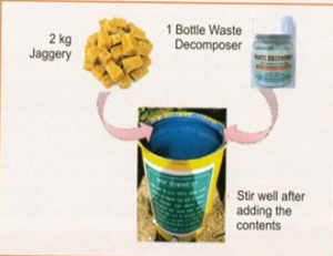 கழிவு சிதைப்பான் (Waste Decomposer) – ஒரு பன்முக நுண்ணுயிர் கூட்டமைப்பு