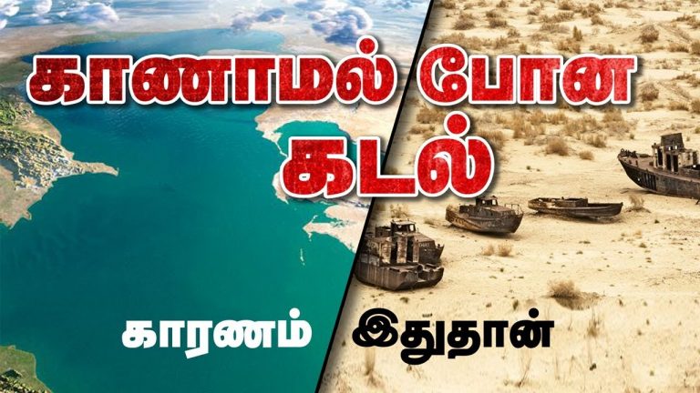 தான் அமிழ்தம் என்றுணரற் பாற்று… (பகுதி-13)