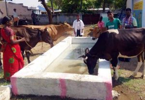 முறையற்ற தீவன மேலாண்மையினால் கால்நடைகளில் ஏற்படும்  உபாதைகளும் அதன் தீர்வுகளும் (பகுதி -2)