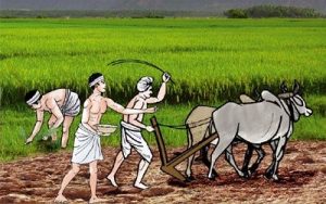 அங்கக  வேளாண்மையில்  தரச்சான்று (பகுதி-2)