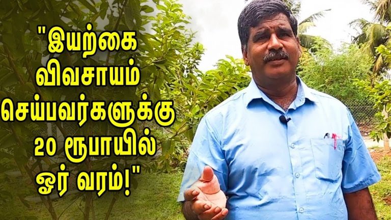 கழிவு சிதைப்பான் (வேஸ்ட் டீகம்போசர்) பயன்பாடு