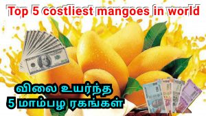 விலை உயர்ந்த முதல் ஐந்து மாம்பழ ரகங்கள்