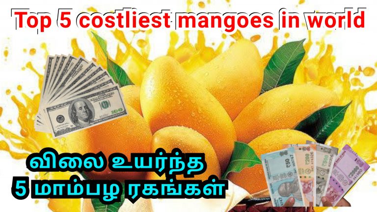 விலை உயர்ந்த முதல் ஐந்து மாம்பழ ரகங்கள்