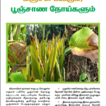 மஞ்சள் பயிரும், பூஞ்சாண நோய்களும்