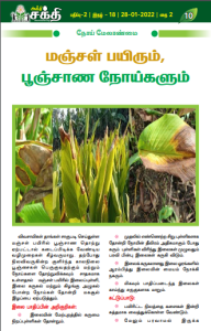 மஞ்சள் பயிரும், பூஞ்சாண நோய்களும்