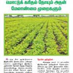 நிலக்கடலையில் மொட்டுக் கரிதல் நோயும் அதன் மேலாண்மை முறைகளும்
