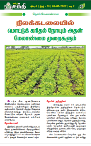 நிலக்கடலையில் மொட்டுக் கரிதல் நோயும் அதன் மேலாண்மை முறைகளும்