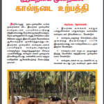 இயற்கை முறையில் கால்நடை உற்பத்தி