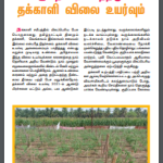 பருவநிலை மாற்றமும் தக்காளி விலை உயர்வும்