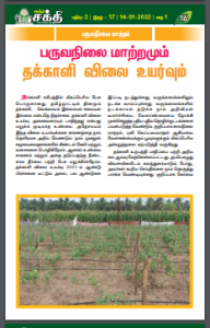 பருவநிலை மாற்றமும் தக்காளி விலை உயர்வும்