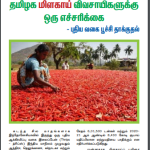 பூச்சி மேலாண்மை – தமிழக மிளகாய் விவசாயிகளுக்கு ஒரு எச்சரிக்கை